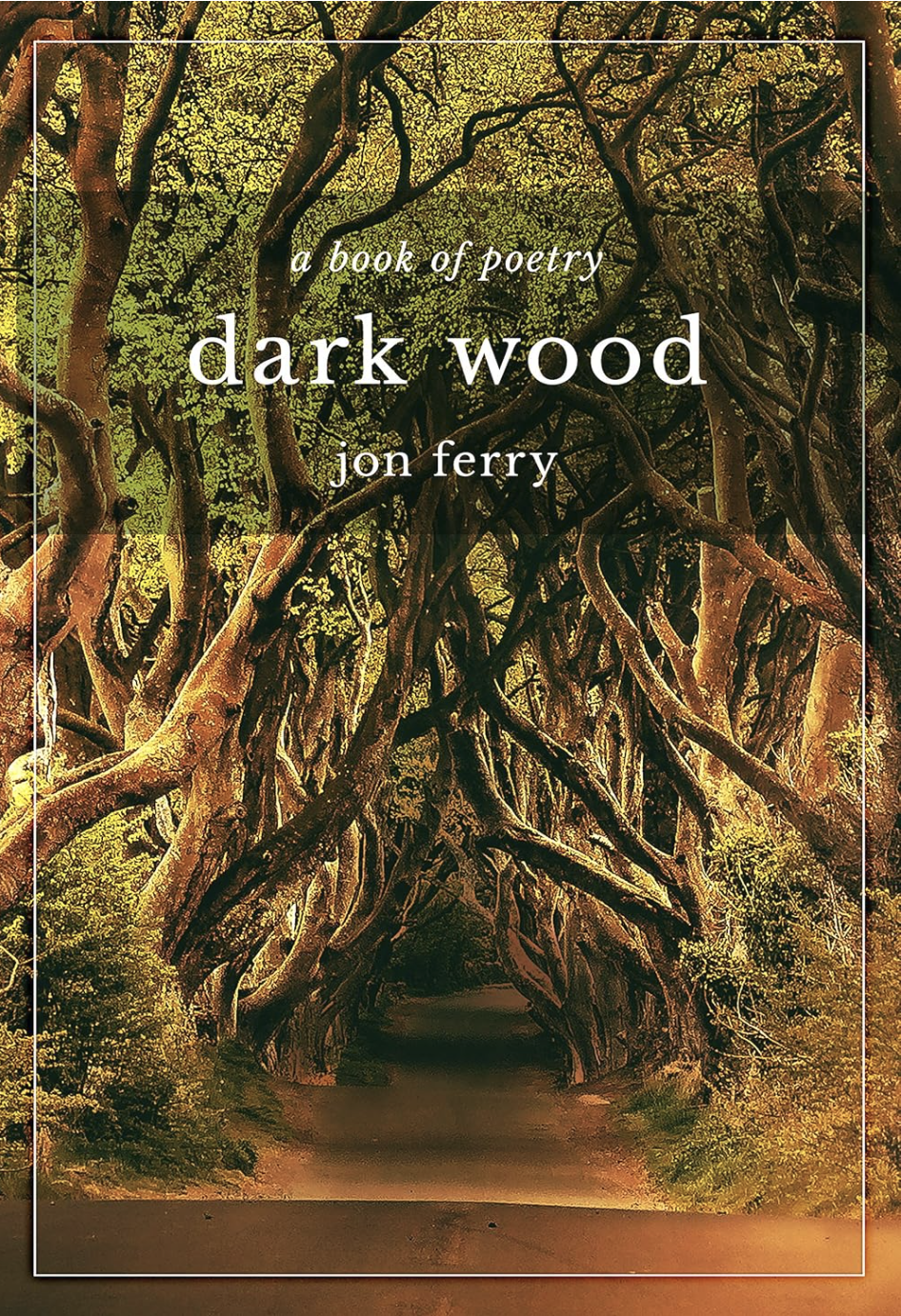 Cover of Dark Wood
