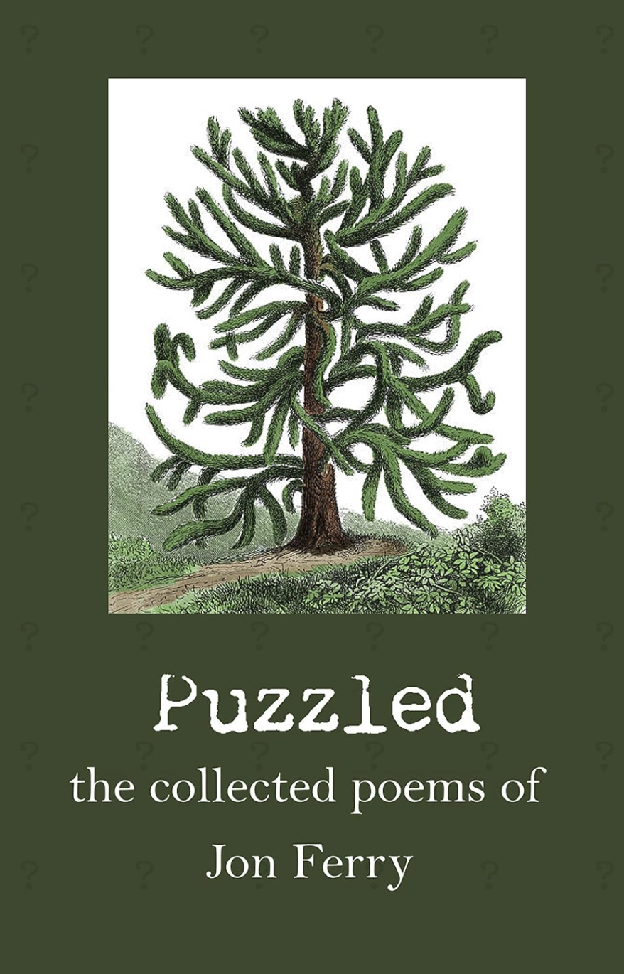 Cover of Puzzled